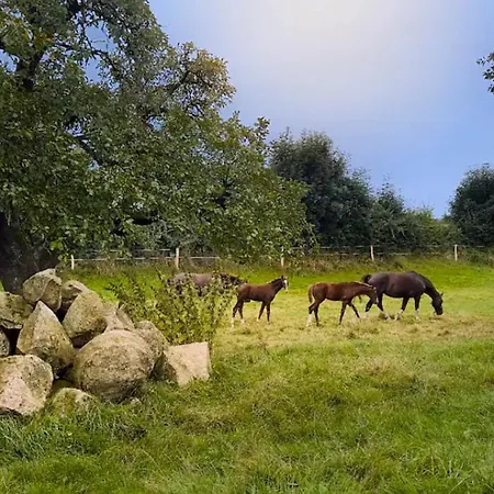 Apartman Laendliche Idylle