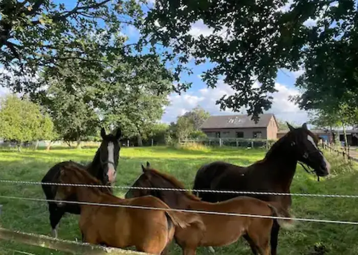 Laendliche Idylle アパート Bücken