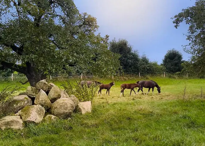 アパート Laendliche Idylle